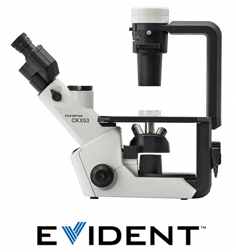 Evident CKX53